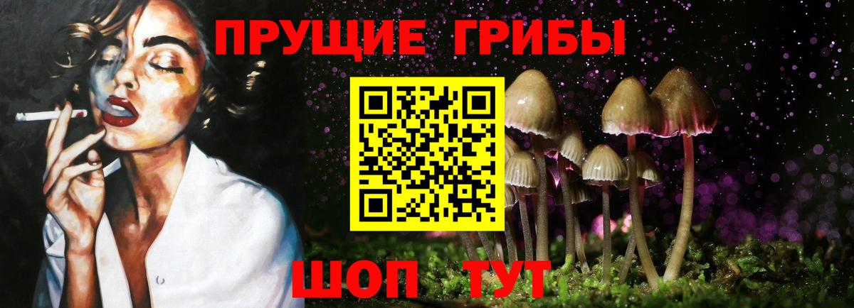 где найти наркотики  Вход с VPN  Магадан  Галлюциногенные грибы MAGIC MUSHROOMS 
